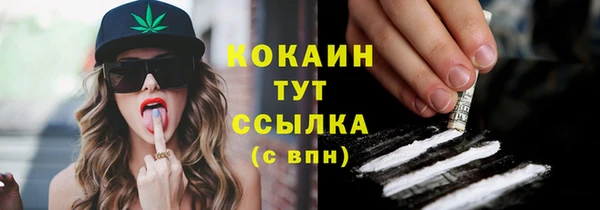 прущие грибы Баксан