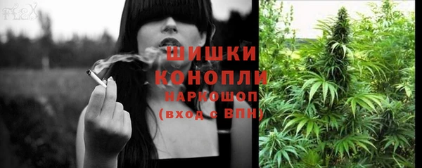 прущие грибы Баксан