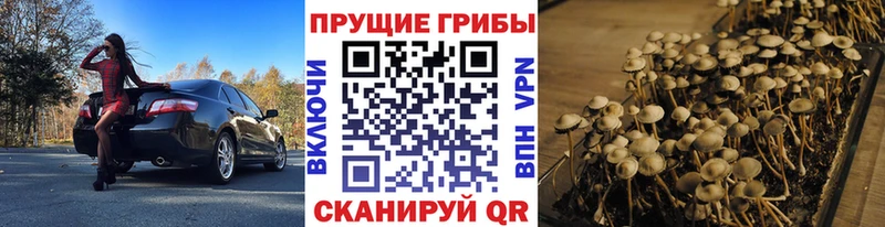 ОМГ ОМГ сайт Нестеровская Псилоцибиновые грибы MAGIC MUSHROOMS