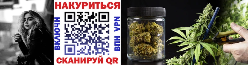 Шишки марихуана конопля  продажа наркотиков  дарк нет как зайти  Нестеровская 